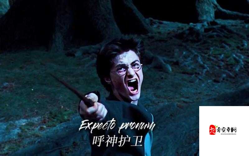 模拟守护神攻略，成为自己的守护神在资源管理中的重要性与实践