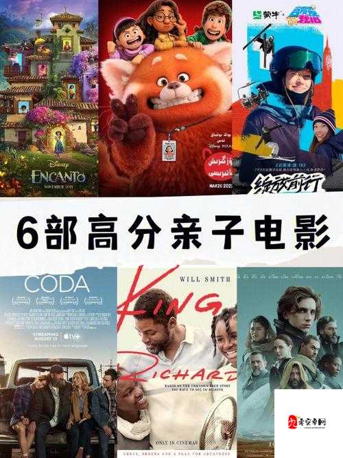 神经电影第 6 个路线：探寻未知的神秘影像之旅