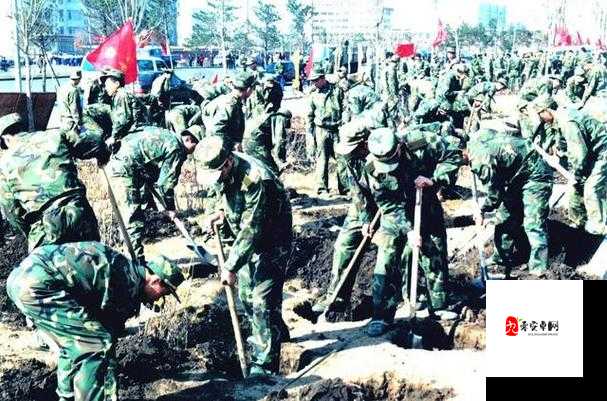 棍棒部队攻略，兵种变化在资源管理中的重要性及高效运用