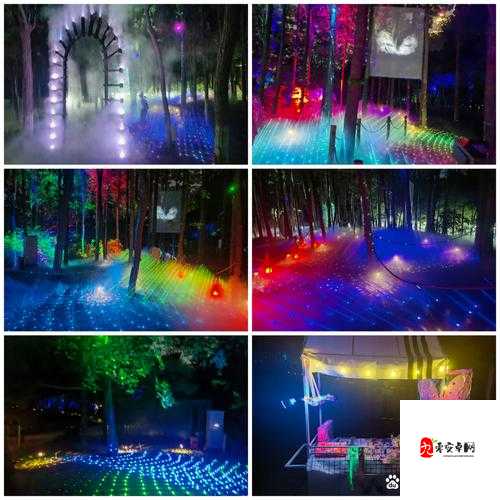 神秘电影的 5 个路线 VIP ：带你走进奇幻光影世界