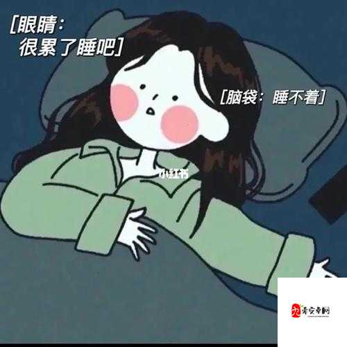 男女晚上睡不着啦啦啦啦凌晨 5 点：奇妙的深夜时光