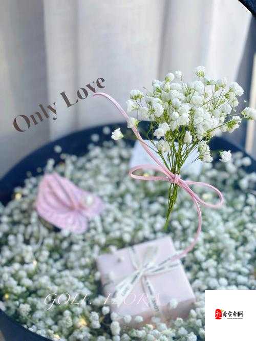 监狱宝贝法国满天星：花中的瑰宝，浪漫与坚韧的象征