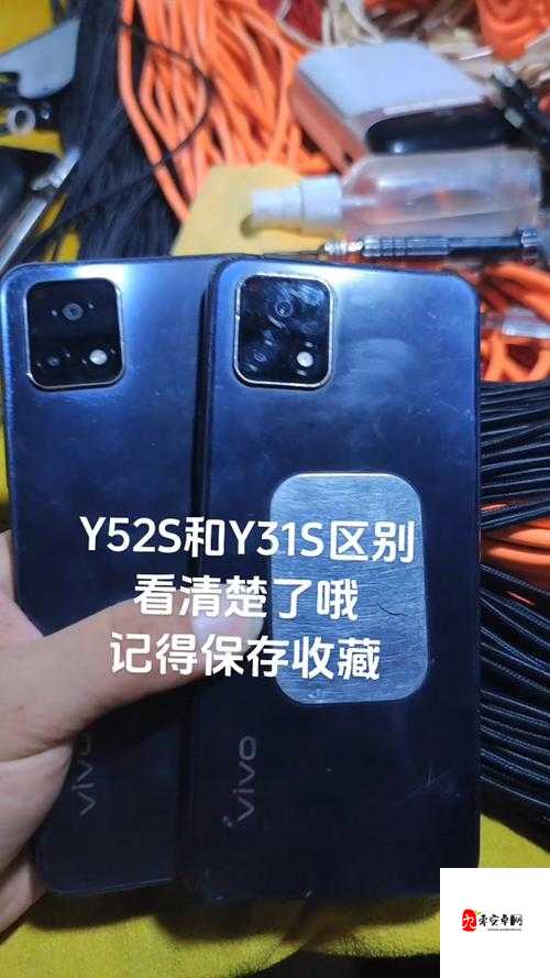 y31s 和 y31s 标准区别更新了之详细解读与分析