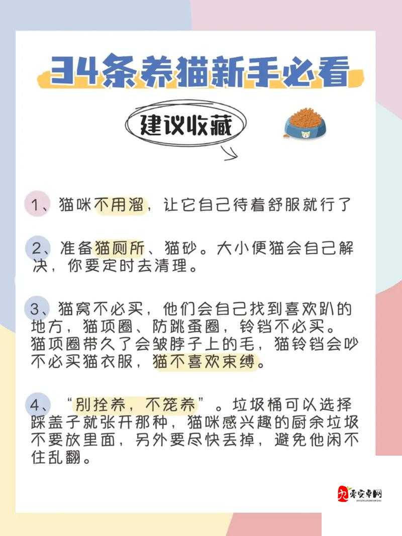 爱捕萌宠新手必看，前期必做的几件事