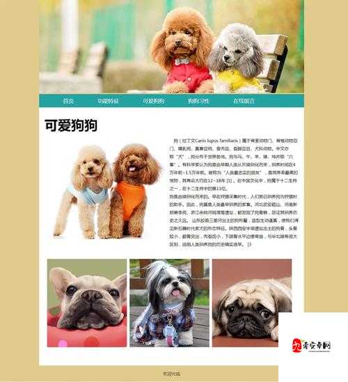 成品网站源码 1688 自动跳转之详细解析与应用探讨