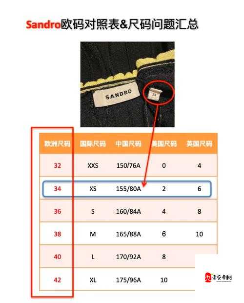 精品欧洲一码二码区别在哪：揭秘版本差异与使用技巧