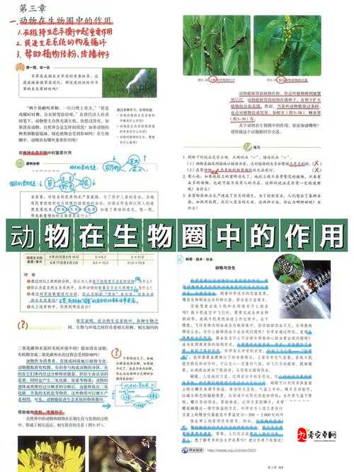 拥挤动物城攻略，合成动物在资源管理中的重要性及高效利用策略