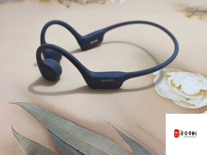 9.1 免费版极速版：畅享极致便捷体验的优质应用