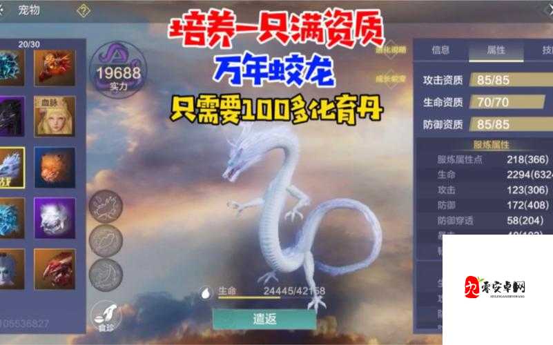 妄想山海蛟龙如何进行培养，蛟龙培养玩法分享与资源管理策略