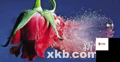 爆炸先生攻略，揭秘子弹拐弯的奇妙艺术