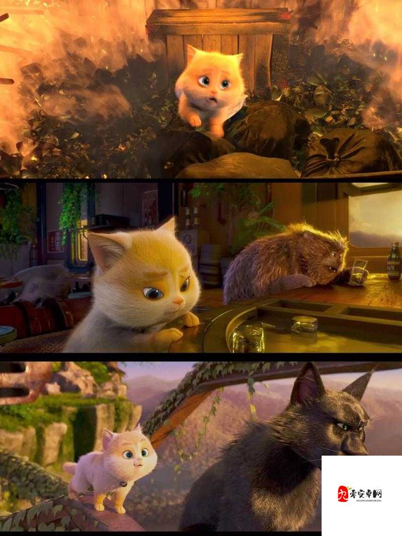 猫与汤攻略，解锁你的世外桃源生活