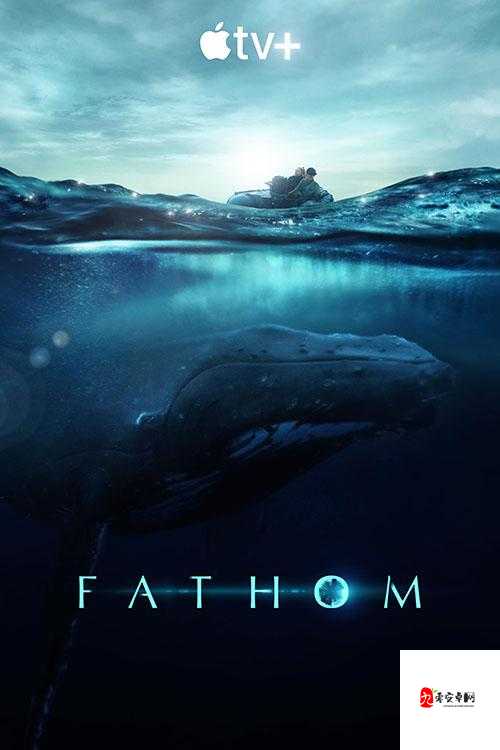 美国大片网：提供海量精彩美国大片资源的平台