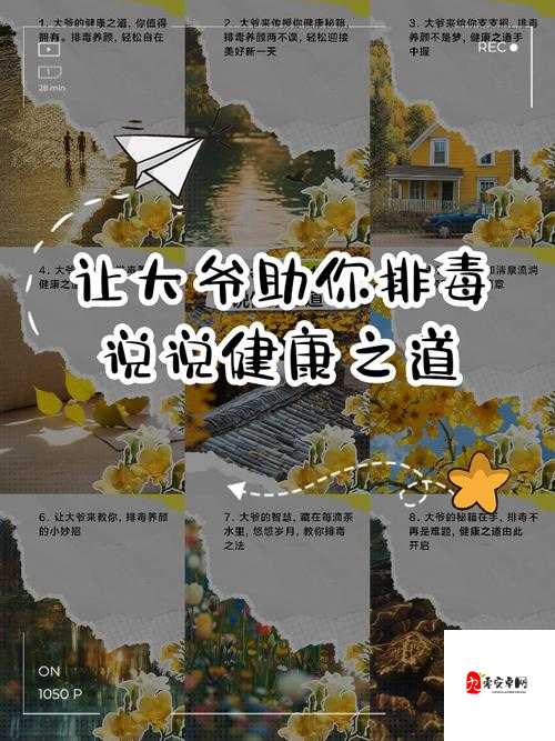 让大爷再帮你排排毒：探寻独特的健康疗养之道