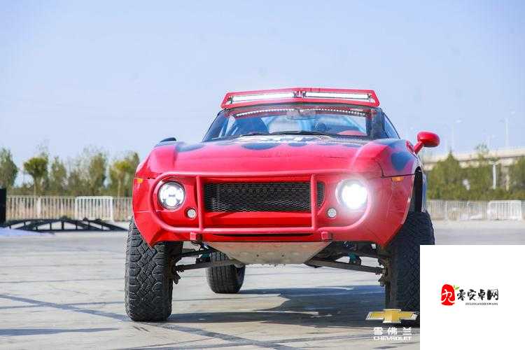 混乱出租车，一场速度与激情的驾驶盛宴