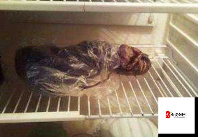 粘稠的液体流出来了：探寻这神秘现象背后的原因