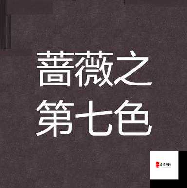 第七色无码影院：畅享极致视觉盛宴