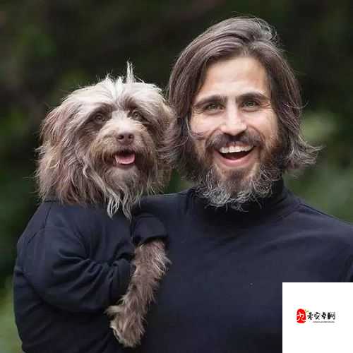 玩人狗大战的实现方法之详细解读与实战技巧分享