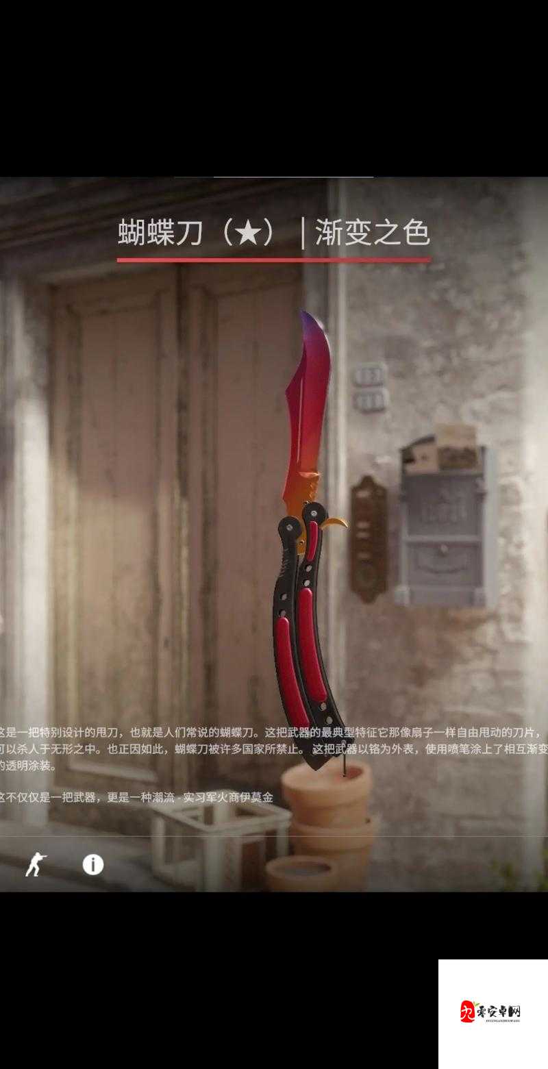 17 岁俄罗斯 csgo：少年天才在电竞舞台上的追梦之旅