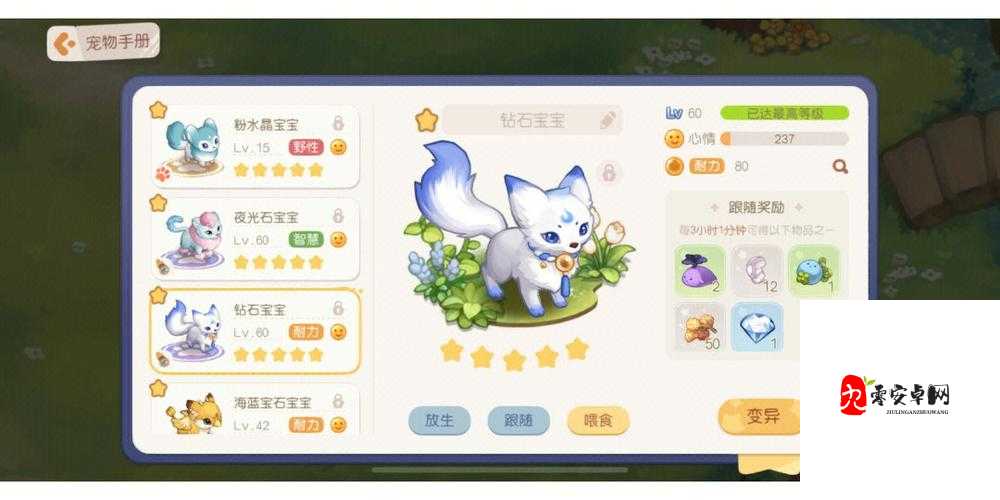 奥比岛手游宠物培育全攻略，打造你的专属萌宠战队