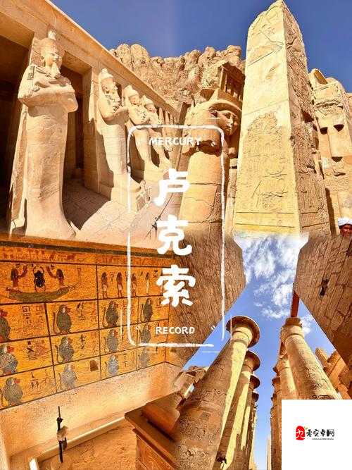 人善交 xzzzzz 另类 ：探索独特人际交往背后的奥秘