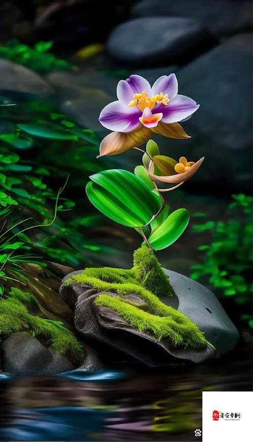 挺进宁荣荣的花苞深处视频：一段神秘而奇幻的探索之旅