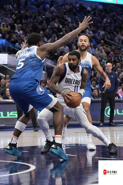 免费观看 NBA 高清直播咆哮视频，激情畅享体育盛宴