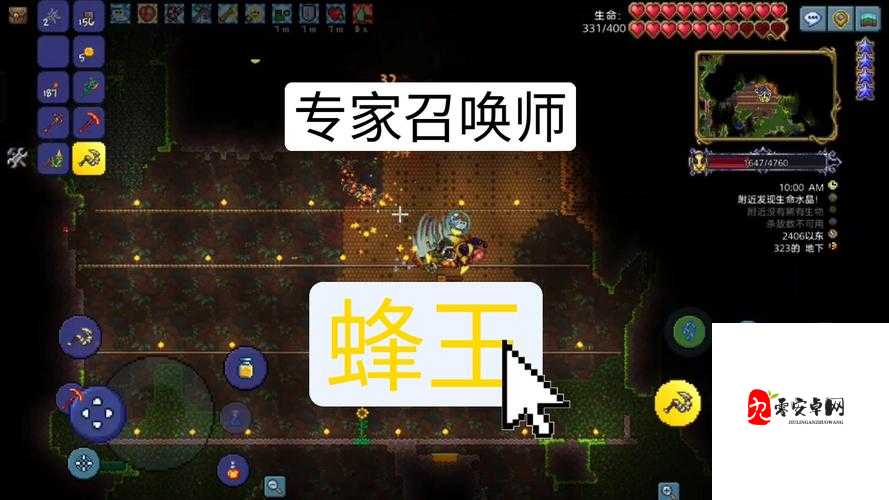 泰拉瑞亚专家模式蜂王挑战攻略，解锁蜂王玩法的终极秘籍