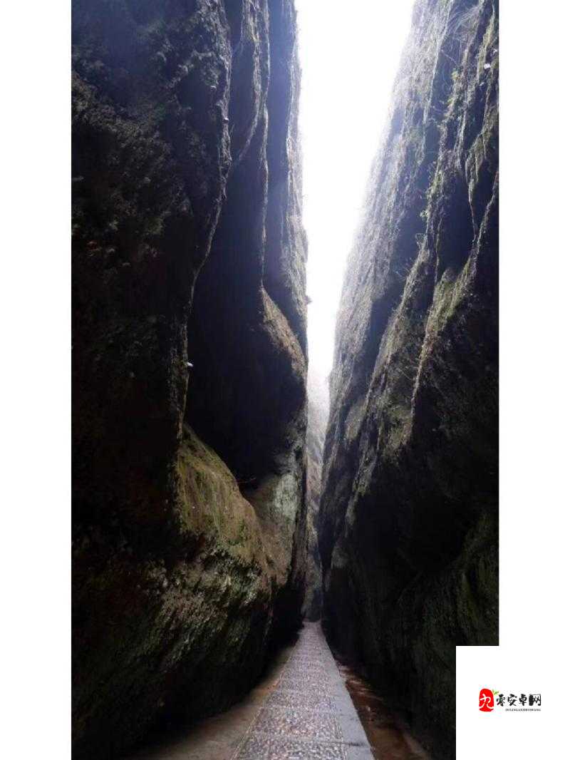 白虎一线天：大自然鬼斧神工造就的奇妙景观探险之旅