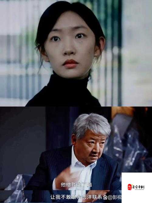 96533 影视剧：一部引人入胜的情感纠葛故事