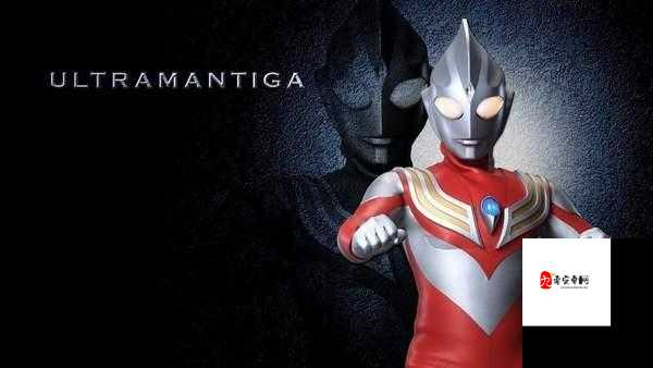 御龙主宰，解锁法术模块的终极力量