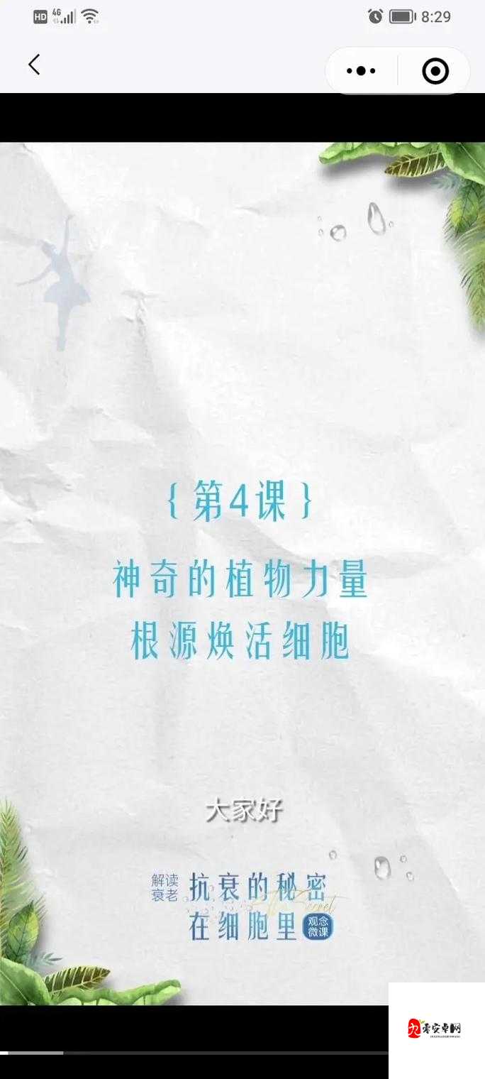 植物休闲大作战，解锁辅助植物的神奇力量