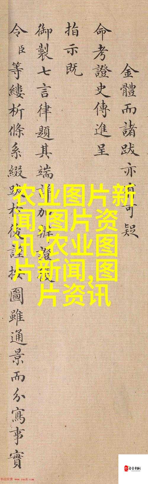 人鲁交 yazhonghu：一场引发深刻思考的特殊交往事件