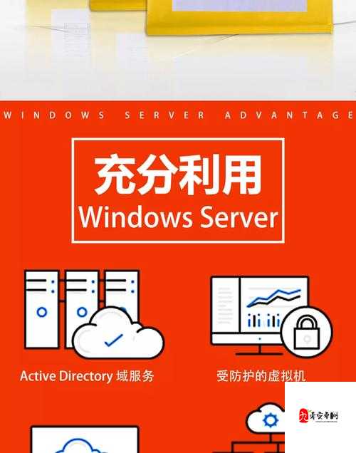 日本 windowsserver 的独特优势与应用探讨