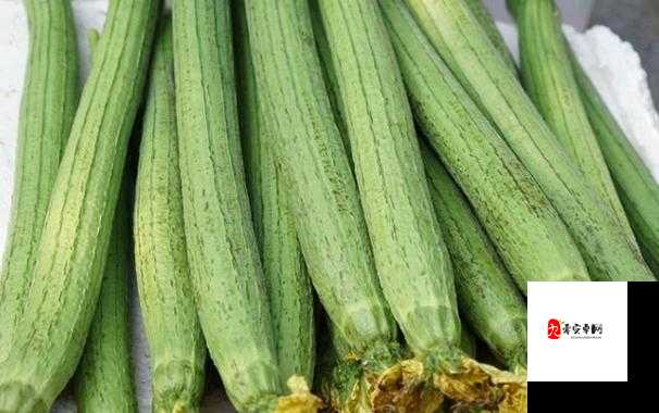 国产精品草莓香蕉榴莲丝瓜十八岁可以吃吗：探讨其营养价值与食用方式