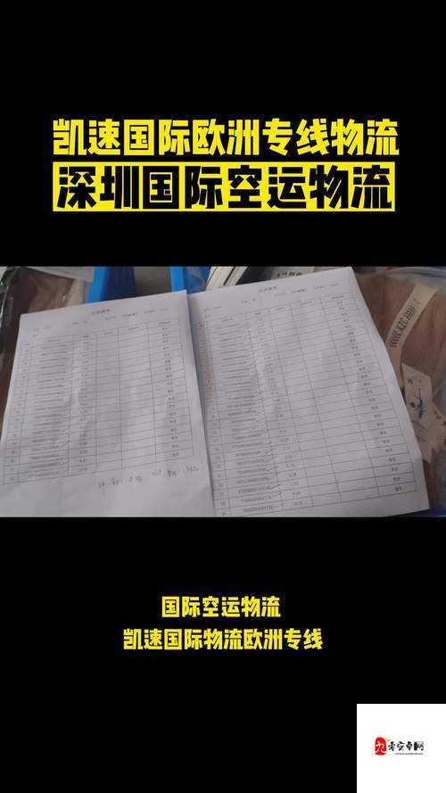 美国专线与欧洲专线区别大揭秘：物流时效、费用及服务差异分析