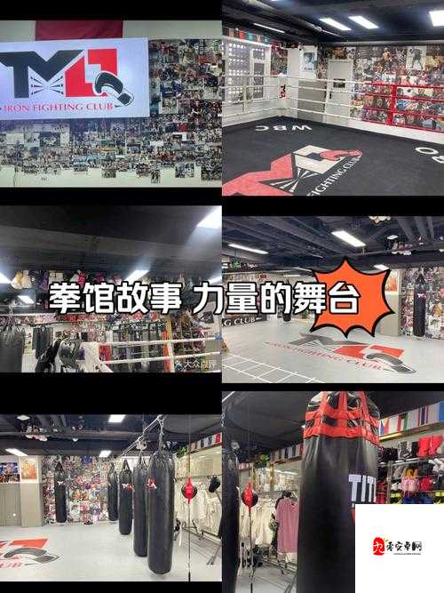 独占糙汉 1v1 拳击馆老板：一场激情四溢的浪漫爱恋故事