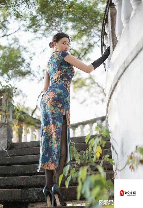 沈阳两个熟女久久久久久的别样精彩故事