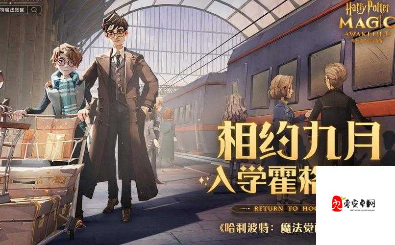 哈利波特魔法觉醒，室友不仅是室友，更是你的魔法伙伴！