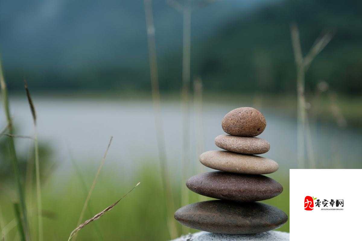 水果派解脱：探寻内心的宁静与解脱之道