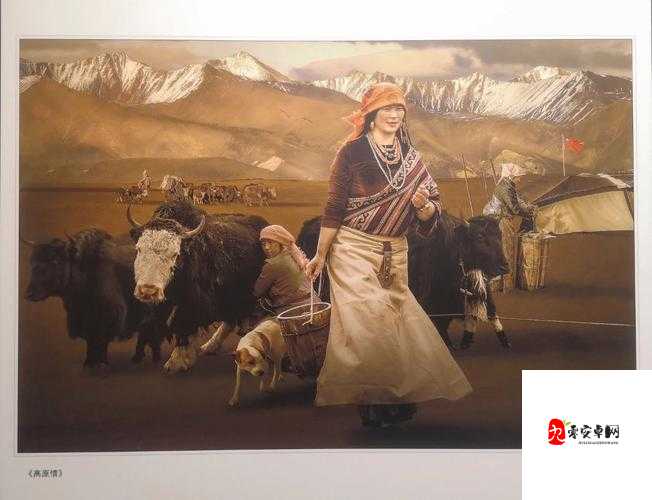 大胆人文艺术：探索独特视角下的人类精神世界