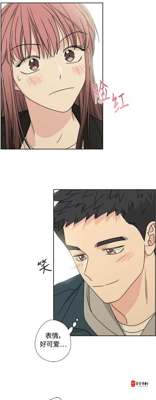 51 漫画免费漫画页面漫画弹窗：呈现精彩漫画世界