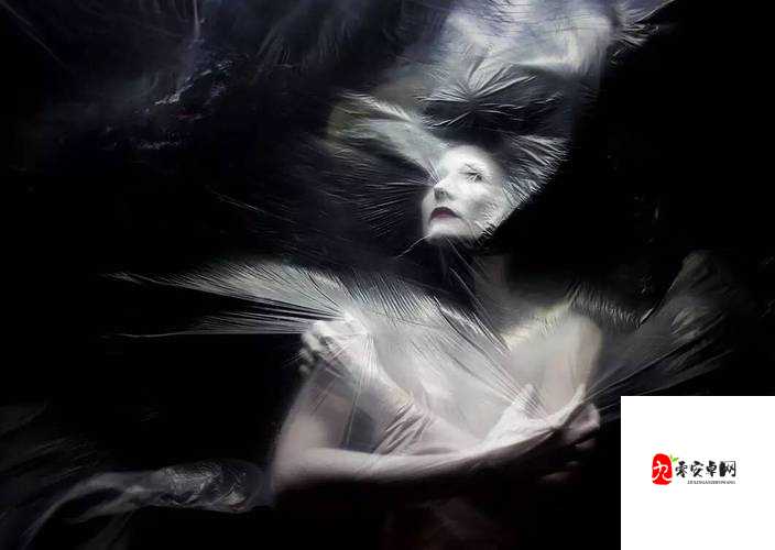 胆小勿入诡异帐篷里的离奇故事