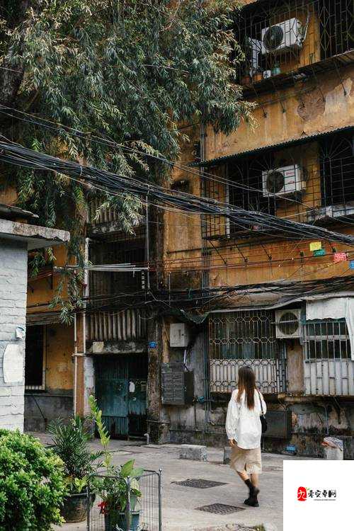 海角社区 60 老熟妇的别样生活：岁月沉淀下的韵味与智慧