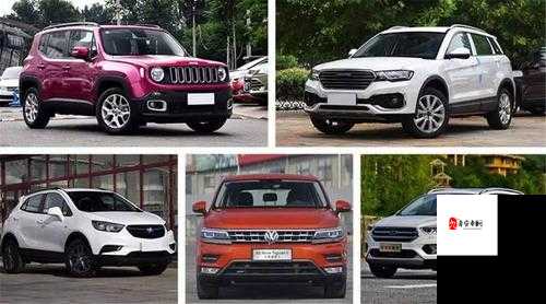 久久日本一线二线三线SUV：不同级别车型特点及市场分析