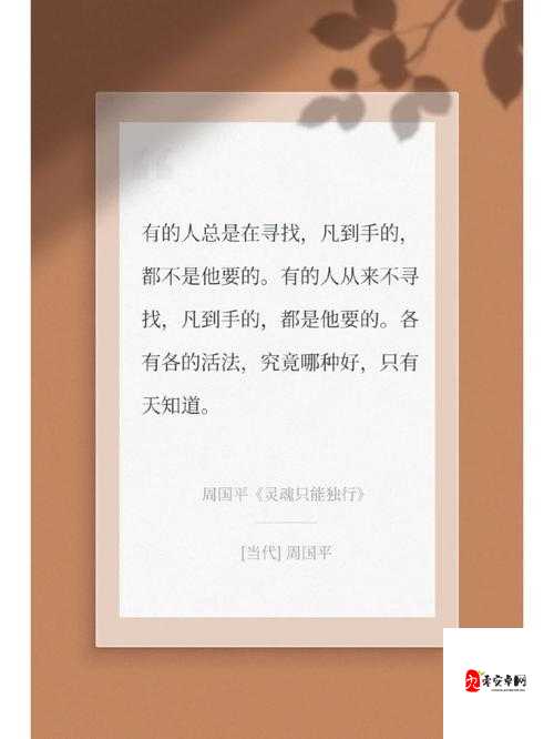 好色女博士：一段不为人知的独特情感探索之旅