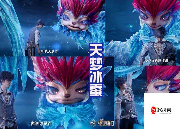 圣契大陆，揭秘玩家心中的梦幻决斗场