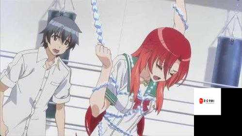 日本色倩网：探索日本成人文化的独特视角