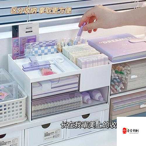 13 岁女孩 PG 可以放几支笔：探究文具收纳的奥秘