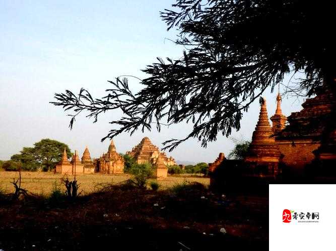 com.缅甸北部网站软件：揭开神秘面纱背后的故事