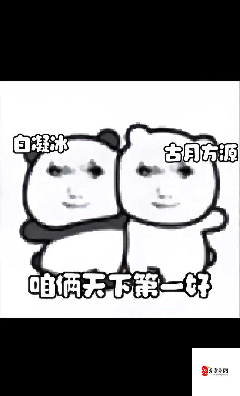 2024，白天躁晚上躁天天躁：是压力还是欲望？